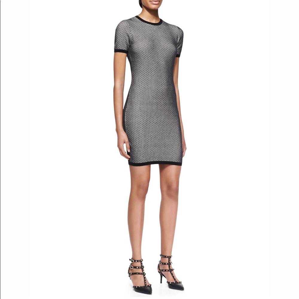 RED Valentino Polka Dot Embroidered Dress